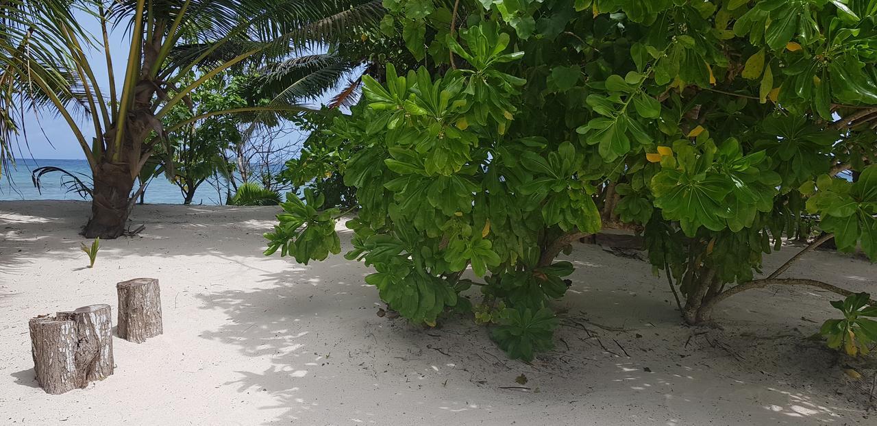 Villa Admiral Grand Anse  Dış mekan fotoğraf