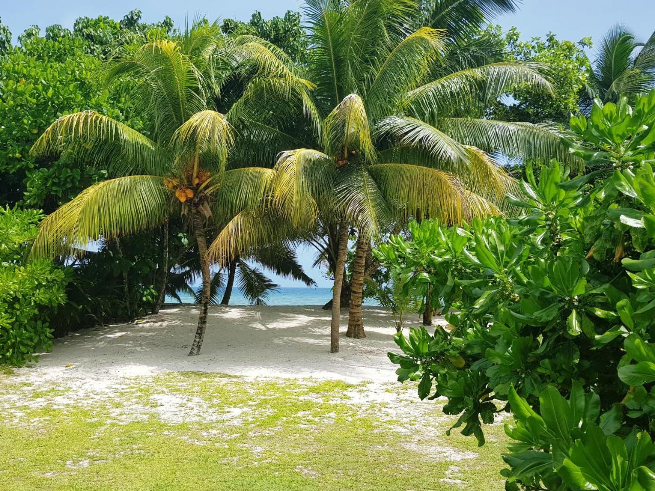 Villa Admiral Grand Anse  Dış mekan fotoğraf